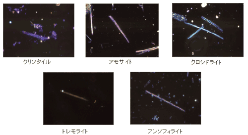 定性分析（位相差・分散顕微鏡）
